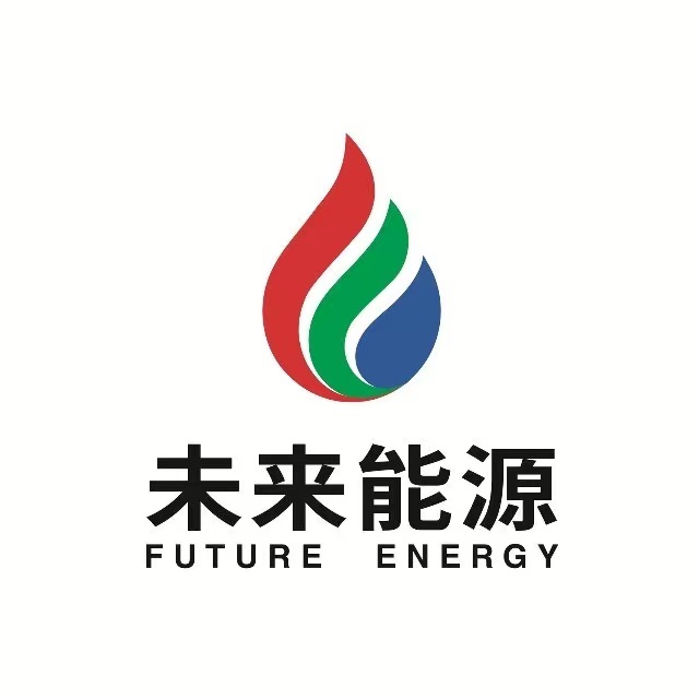 陕西未来能源